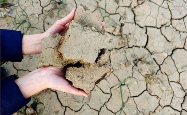 Mersin için kuraklık kriz planı var mı?