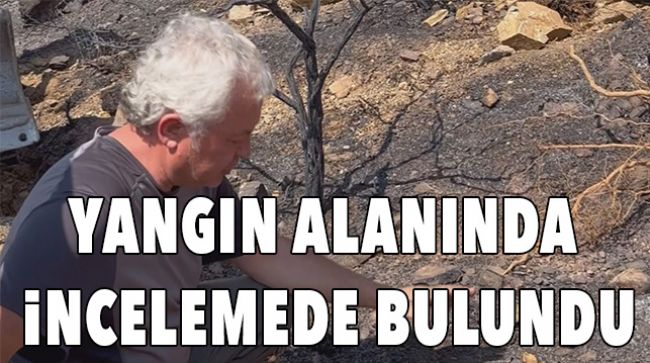 PROF. DR. YILDIZ: “YANAN ORMANLARDAKİ EN BÜYÜK TEHLİKE BESİN KAYBI”