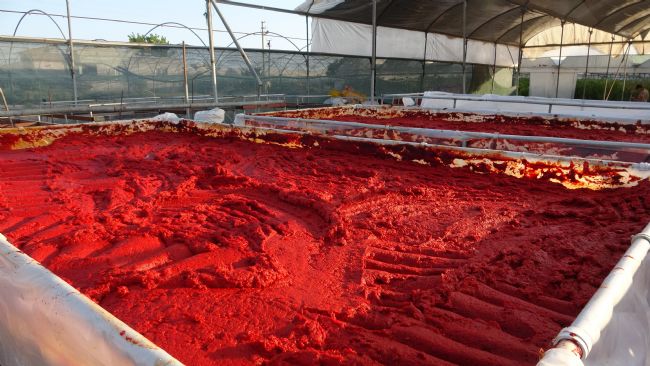 Mersin'de biber salçası üretimi başladı