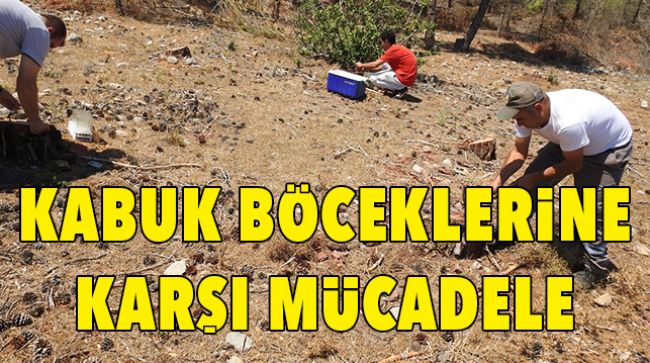 DUMANSIZ YANGINLARA KARŞI BİYOLOJİK MÜCADELE BAŞLATTILAR