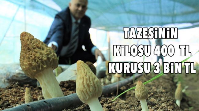 TÜRKİYE’DE İLK DEFA ÜRETİLDİ