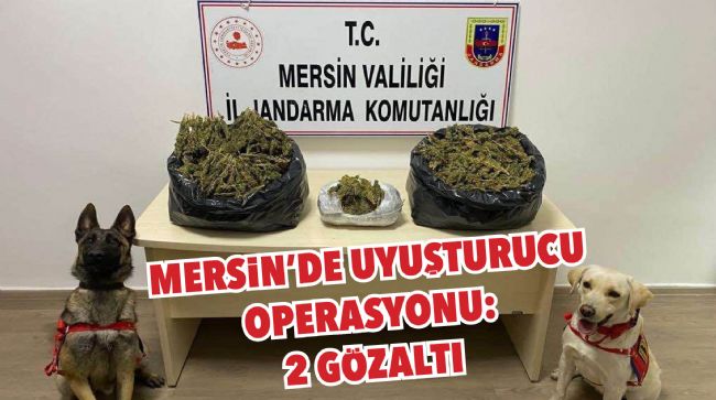 MERSİN'DE UYUŞTURUCU OPERASYONU: 2 GÖZALTI