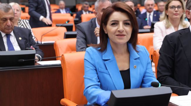 MİLLETVEKİLİ GÜLCAN KIŞ, ÇİLE YOLUNU MECLİS GÜNDEMİNE TAŞIDI