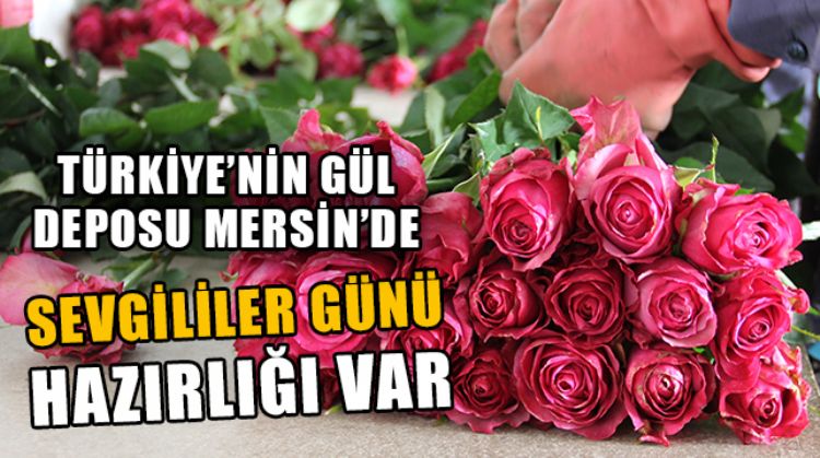 MERSİN’DEN TÜRKİYE’NİN TÜM İLLERİNE SEVGİLİLER GÜNÜ ÇİÇEKLERİ GİDECEK