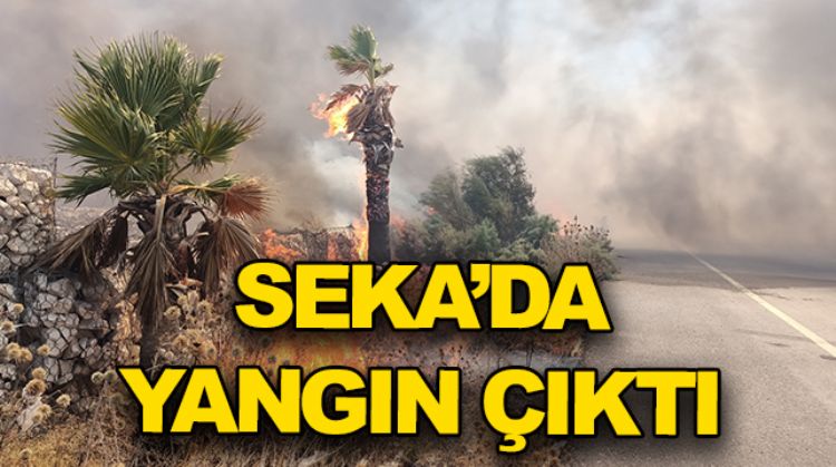 SİLİFKE’DE ÇIKAN YANGIN KORKUTTU