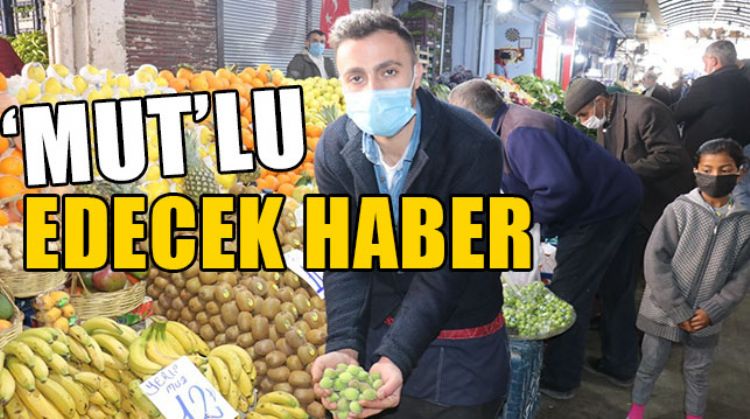 MUT KAYISI’SI MALATYA TEZGAHLARINDA