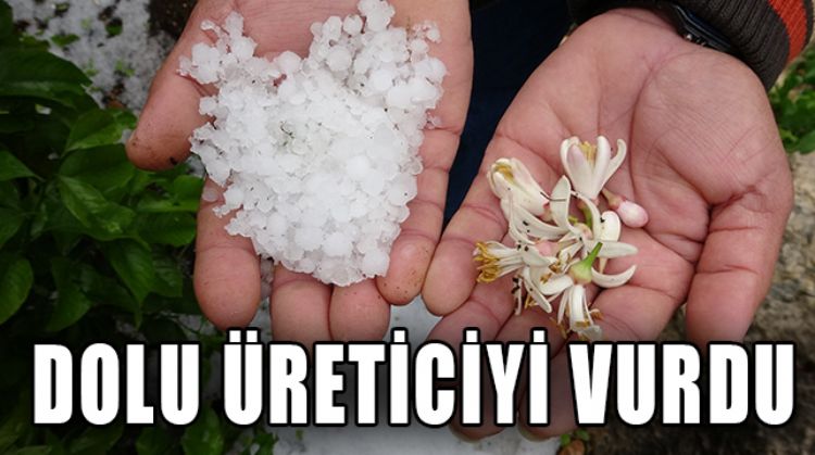 DOLU YAĞIŞI ÜRETİCİYİ VURDU