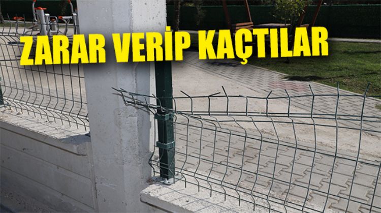 DONATILARI TAHRIP ETTİLER