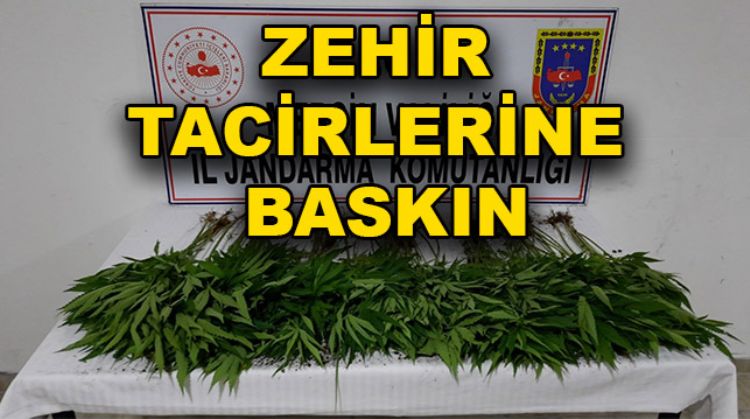 UYUŞTURUCUYA KARŞI MÜCADELE DEVAM EDİYOR