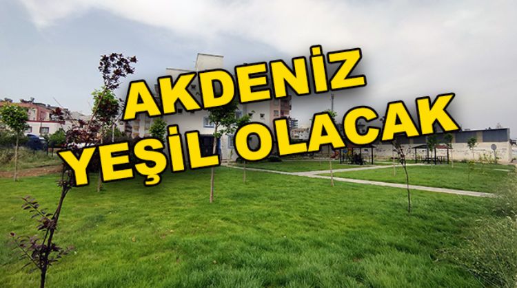 AKDENİZ BELEDİYESİ’NDEN YEŞİLLENDİRME ÇALIŞMASI