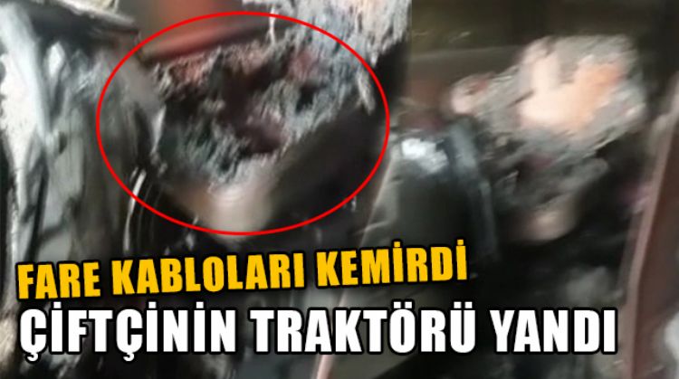 TARSUS’TA FARENİN KEMİRDİĞİ KABLOLARDAN ÇIKAN YANGIN ÇİFTÇİNİN HAYALLERİNİ YAKTI