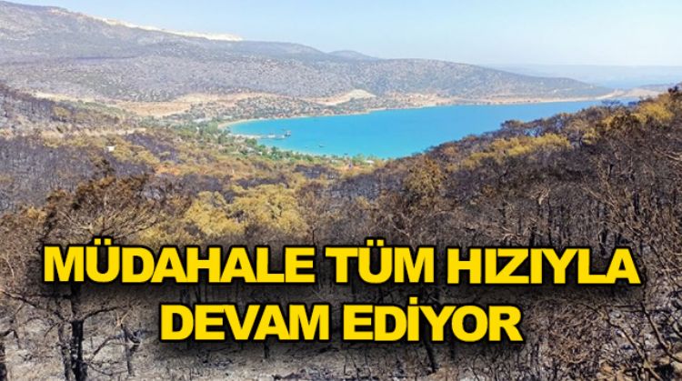 SİLİFKE’DE YANGIN DEVAM EDİYOR