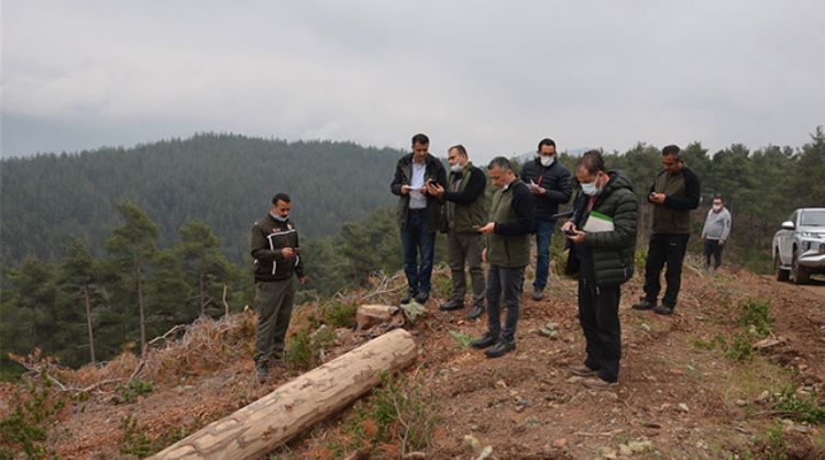 MERSİN’DE ORMANCILIK FAALİYETLERİ İNCELENDİ