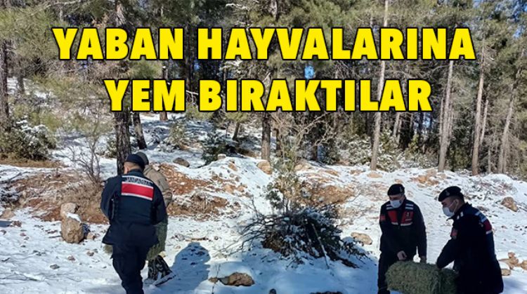 YABAN HAYVANLARINI UNUTMADILAR