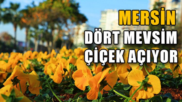 MERSİN’DE 22 AYDA 3 MİLYONDAN FAZLA ÇİÇEK VE BİTKİ TOPRAKLA BULUŞTU