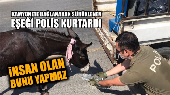 KAMYONETE BAĞLANARAK SÜRÜKLENEN EŞEĞİ POLİS KURTARDI