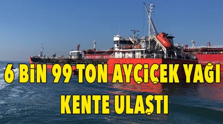 MERSİN LİMANINA ULAŞTI