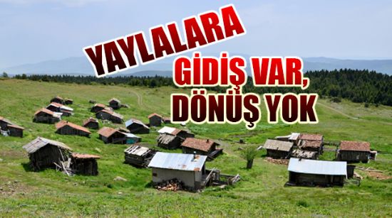 YAYLALARA GİDİŞ VAR, DÖNÜŞ YOK