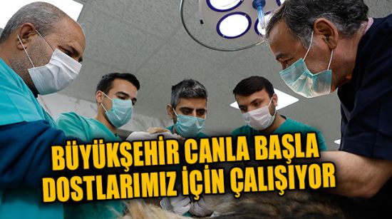 BÜYÜKŞEHİR CANLA BAŞLA DOSTLARIMIZ İÇİN HİZMET VERİYOR