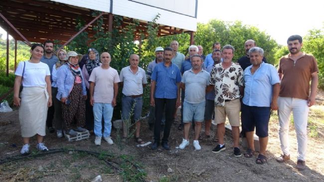  Köylüler organize çetenin hedefi oldu