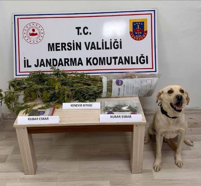 Mersin'de uyuşturucu operasyonları: 7 gözaltı