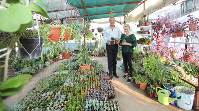 EVİNİ BOTANİK BAHÇESİNE ÇEVİRDİ