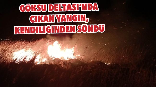 GÖKSU DELTASI'NDA ÇIKAN YANGIN, KENDİLİĞİNDEN SÖNDÜ