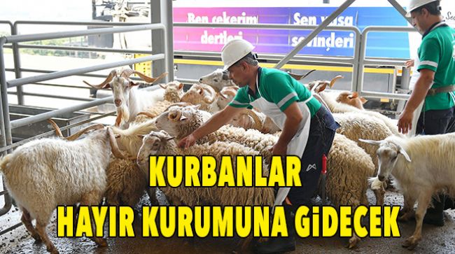 BÜYÜKEŞHİR BELEDİYESİ ŞEHİTLER İÇİN KURBAN KESTİ