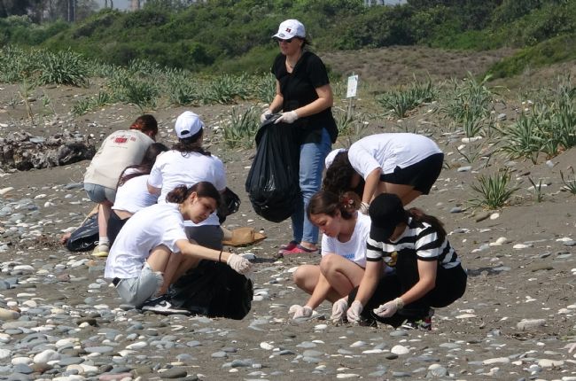 Üreme öncesi carettaların yuva yaptığı sahili öğrenciler temizledi
