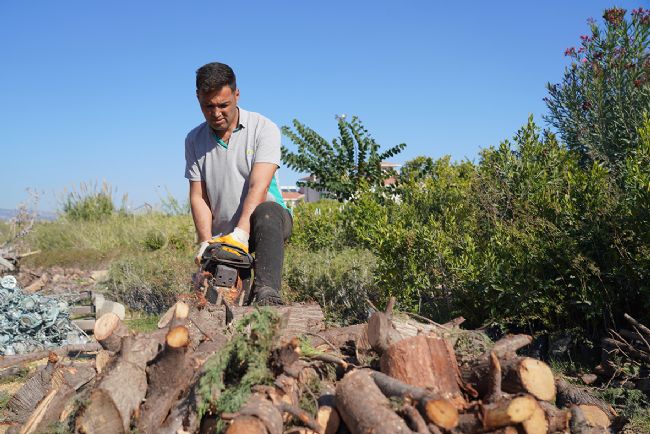 Erdemli Belediyesi, Budanan Dalları Oduna Dönüştürerek İhtiyaç Sahiplerine Ulaştırıyor