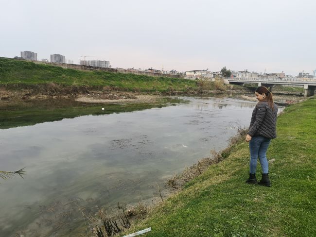 Kırmızı akan Berdan Nehri normale döndü