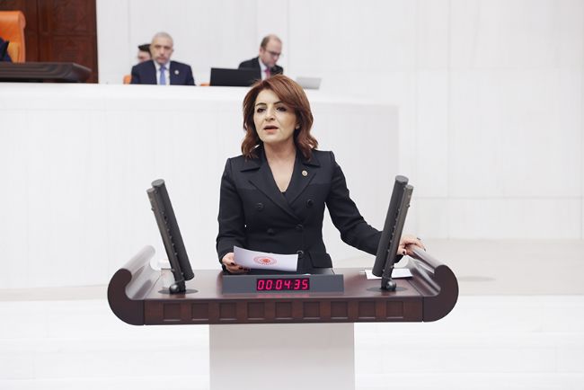 CHP’li Kış, otizmli çocukların ve ailelerinin sesi oldu