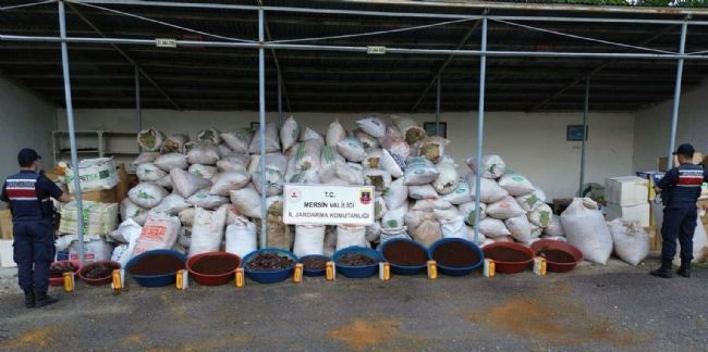 Mersin'de 10 ton kaçak tütün ele geçirildi