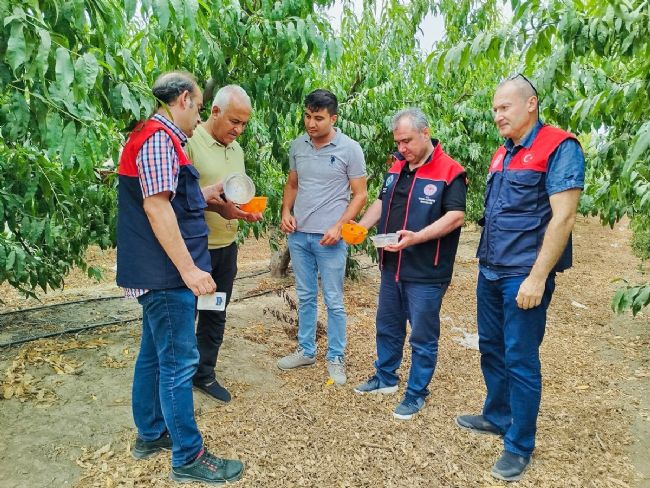 Mersin'de meyve üreticilerine önemli uyarı