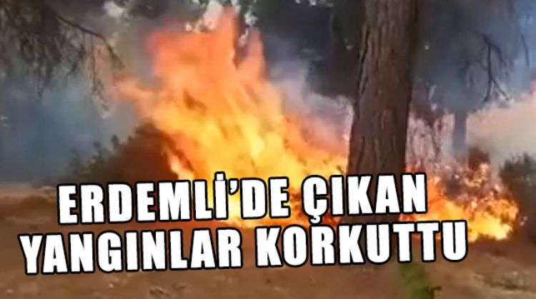 YAYLALAR KORKUYU YAŞADI