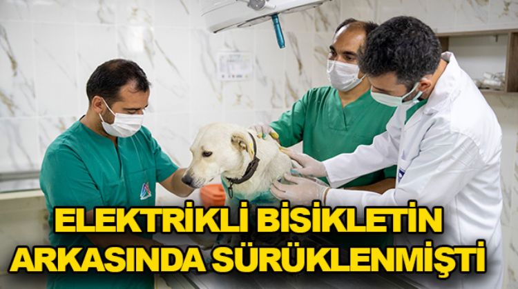 “MASUM” ADINI VERDİLER