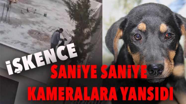 YAVRU KÖPEĞE İŞKENCE UYGULADI