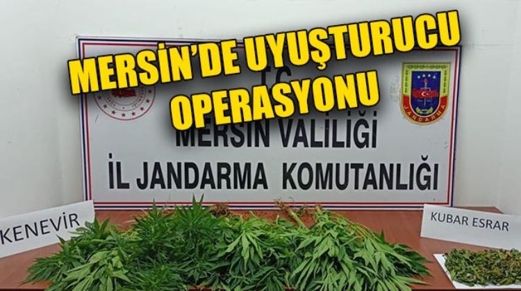 UYUŞTURUCU OPERASYONLARINDA 7 ŞÜPHELİ GÖZALTINA ALINDI