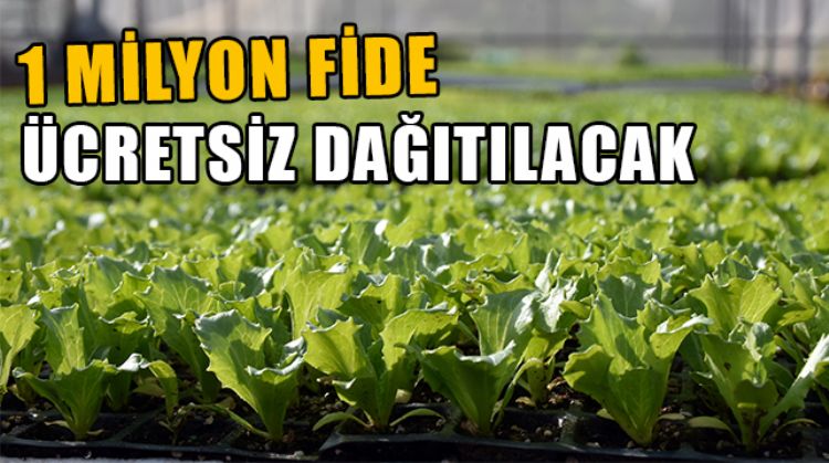 TARSUS BELEDİYESİ, ‘ATA TOHUMU’ PROJESİNİ SÜRDÜRÜYOR
