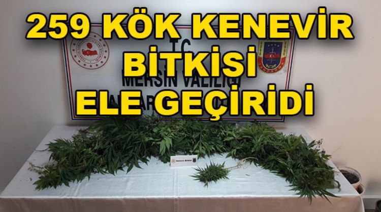 MERSİN’DE UYUŞTURUCU OPERASYONU