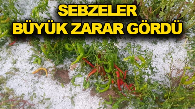 ERDEMLİ’DE ŞİDDETLİ YAĞIŞ
