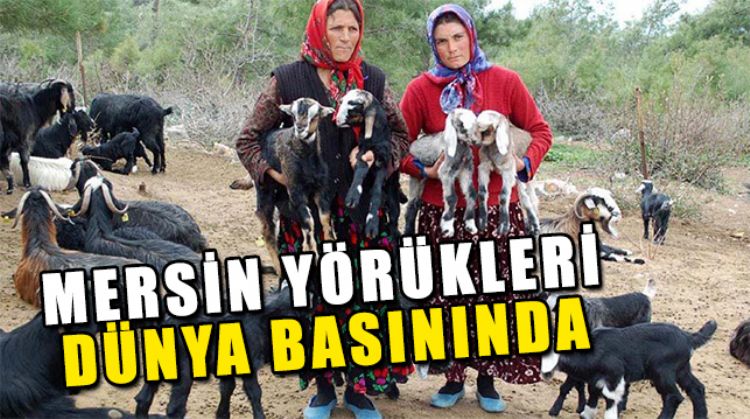 TOROSLAR’IN YÖRÜKLERİ DÜNYAYA AÇILIYOR