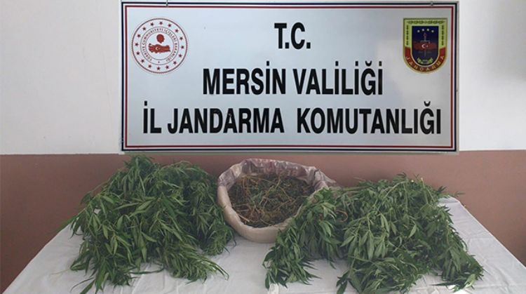 ERDEMLİ’DE UYUŞTURUCU OPERASYONU