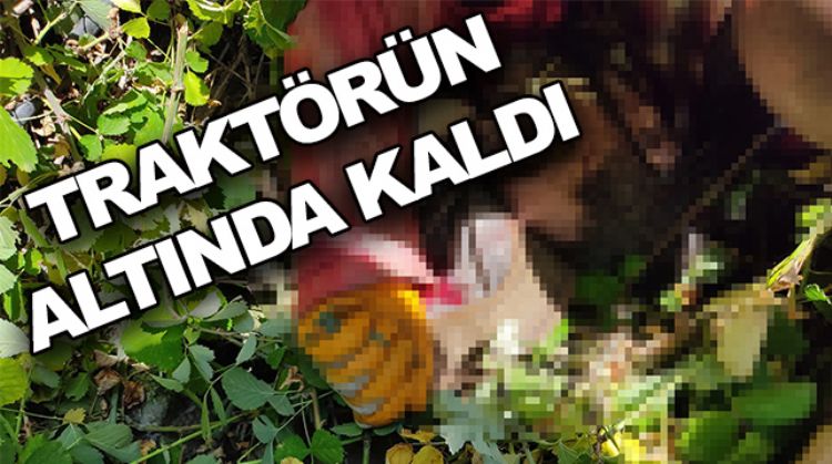 FECİ ŞEKİLDE CAN VERDİ