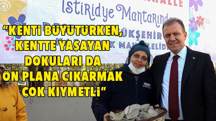 İSTİRİDYE MANTARI TESİSİNİN İLK HASADI GERÇEKLEŞTİ