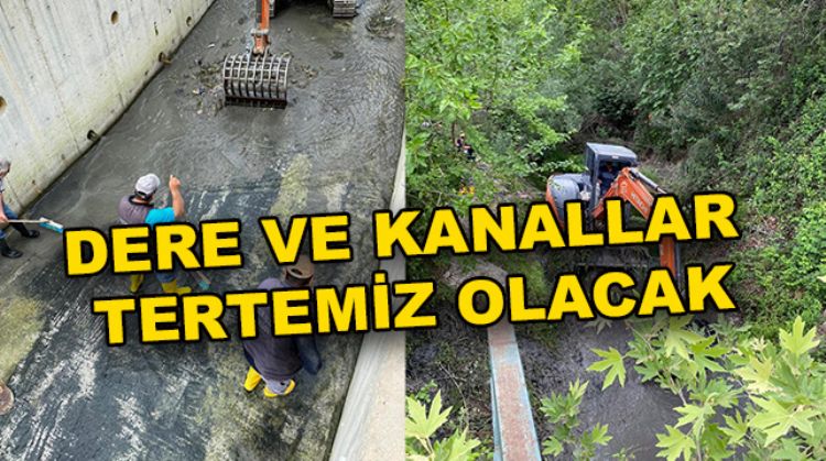 MUT DERESİ’NDE TEMİZLİK BAŞLADI
