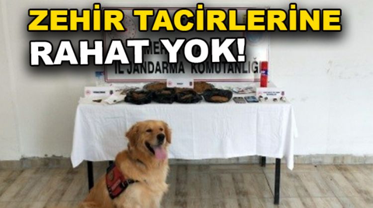 ERDEMLİ VE TARSUS’TA UYUŞTURUCU OPERASYONU