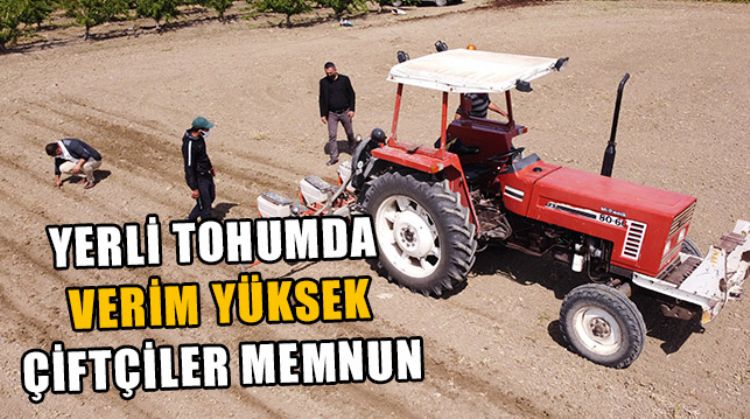 ‘KALE’ TOHUMLARI TOPRAKLA BULUŞTU