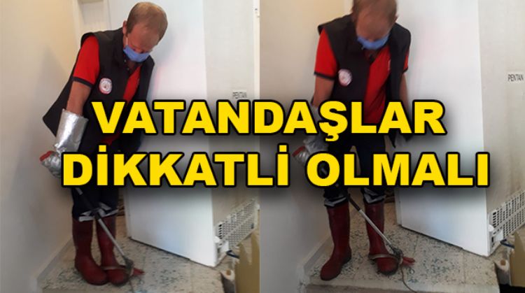 TARSUS’TA BİR EVE YILAN GİRDİ