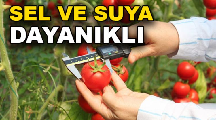 ÇİFTÇİLER İÇİN BÜYÜK HABER